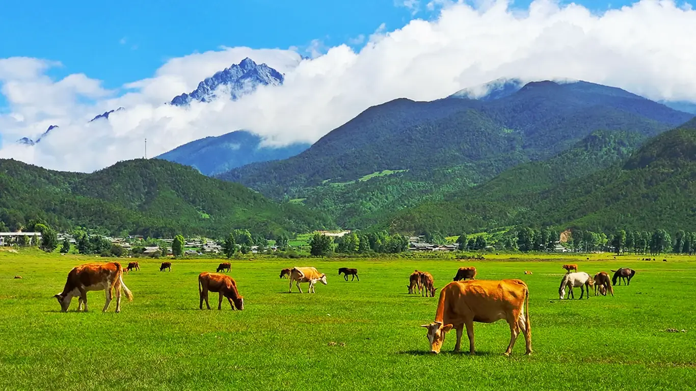 Sustainable Ecotours and Nature Education in Yunnan Lijiang & Tibetan Shangri-La | Cloud Mountain